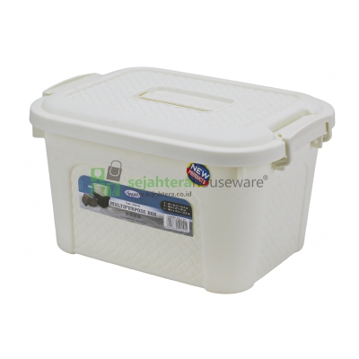 Container Box Hawaii ALBERTO 9221 DT