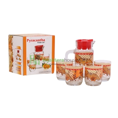 Drink Set Pyracantha SQP-500PC KIG-36T