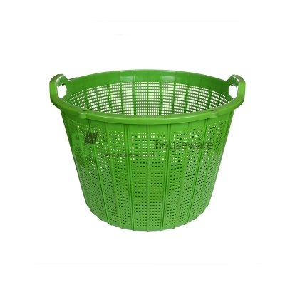 Kalo Raksasa Twin Pan no.646