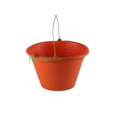 Ember Cor Sedang Walet Orange