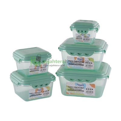 Food Container Hawaii Apollo 8264 5 pcs